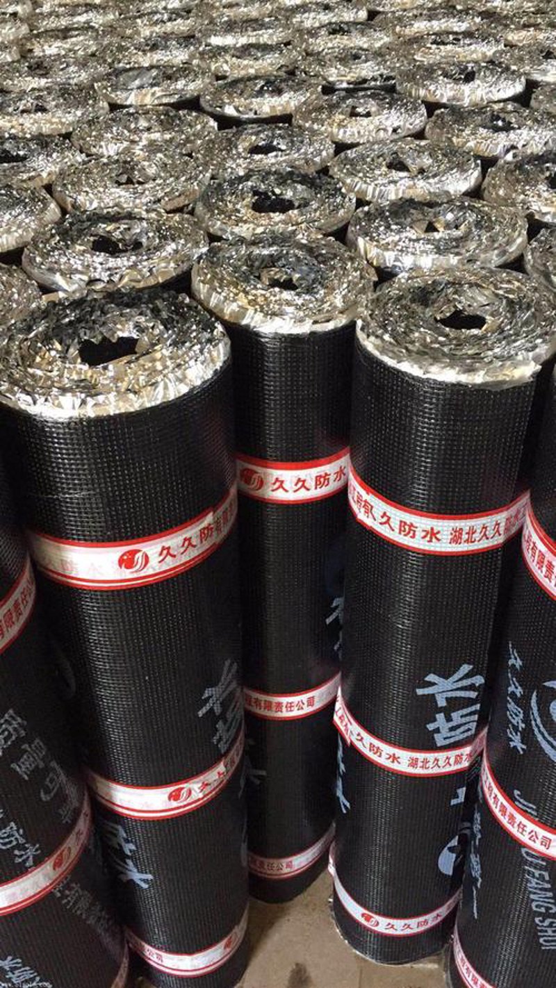 揭秘防水涂料新趋势：打造耐用持久的家庭防护网